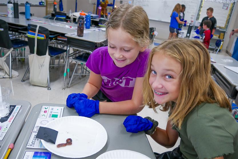 Students study earthworms in class